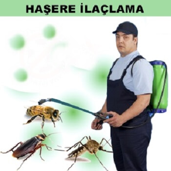 Pervari Böcek İlaçlama